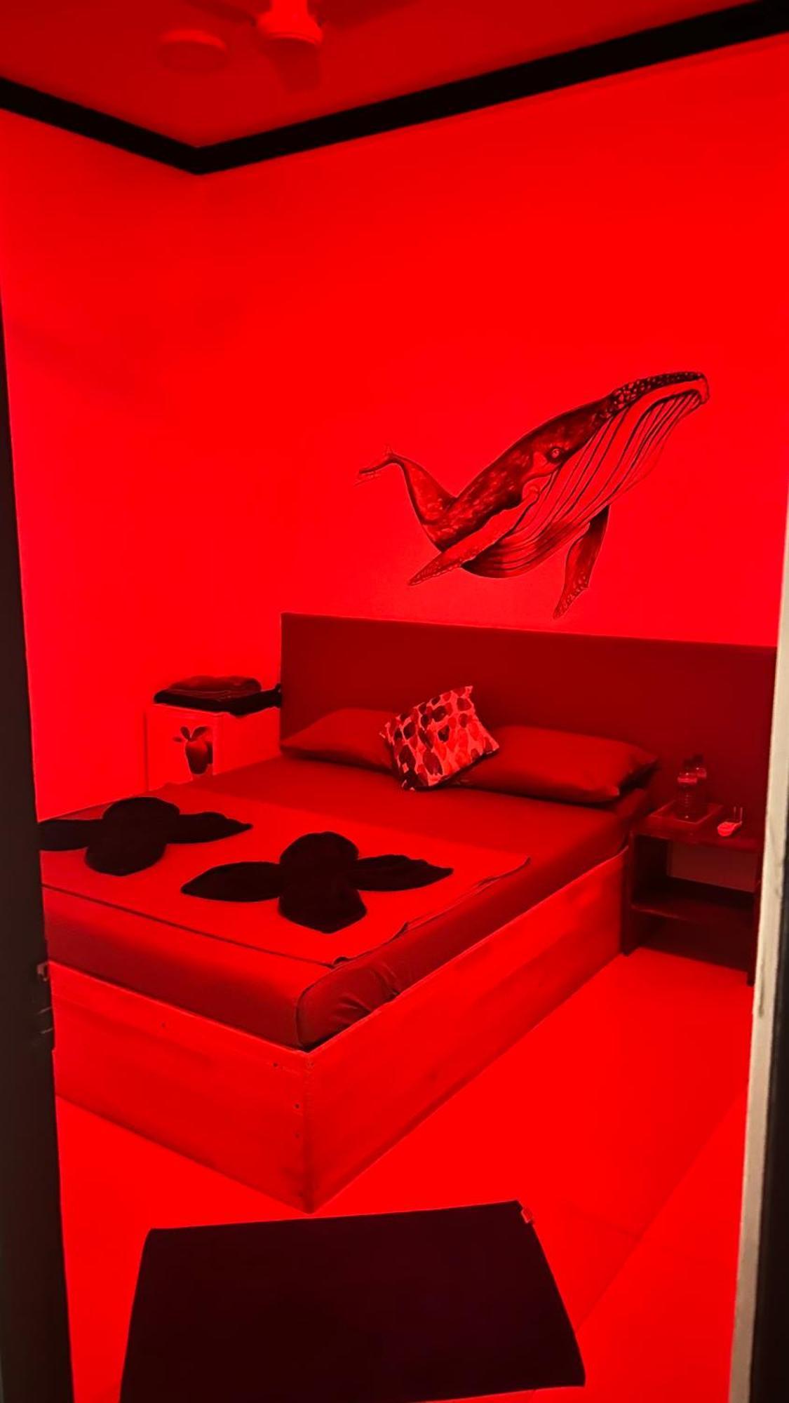 马尔代夫珂珂小屋酒店 古雷德胡 外观 照片